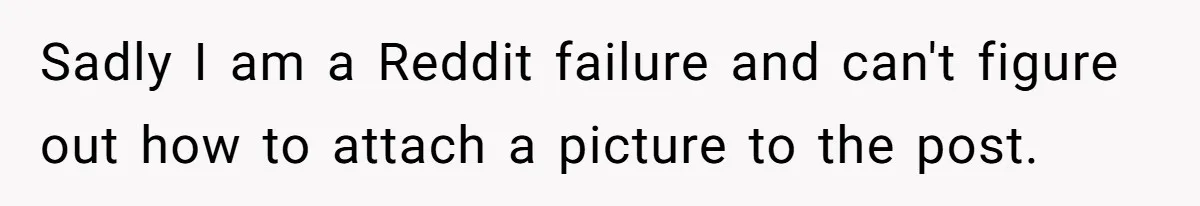 Sadly I am a Reddit failure and can't figure out how to attach a picture to the post.