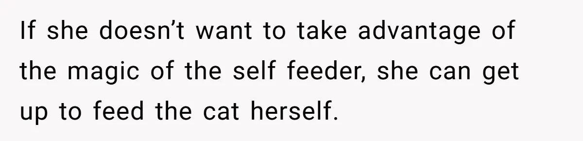 If she doesn’t want to take advantage of the magic of the self feeder, she can get up to feed the cat herself.