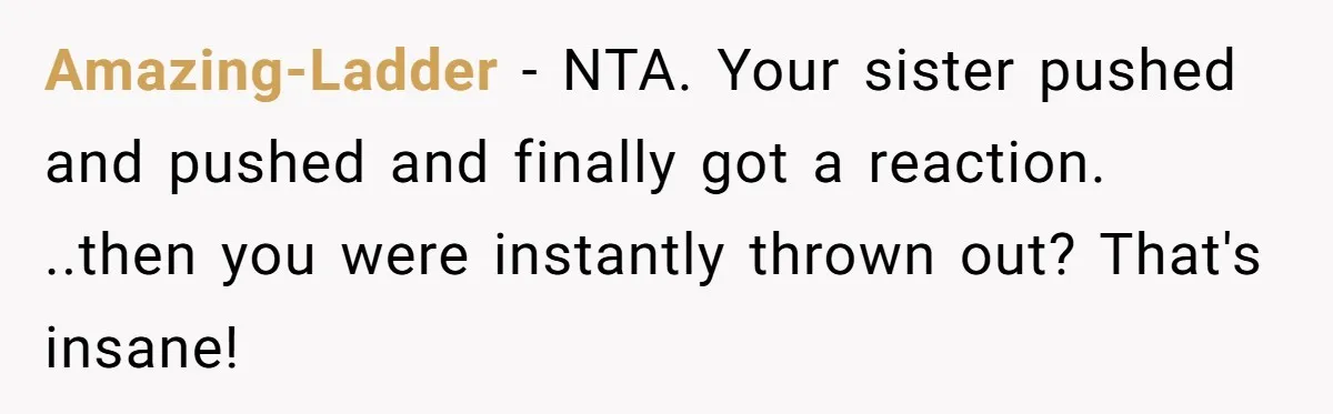 Sister Constantly Corrects Her Pronouns, She Finally Snaps And Gets Kicked Out Amazing-Ladder − NTA. Your sister pushed and pushed and finally got a reaction. ..then you were instantly thrown out? That's insane!