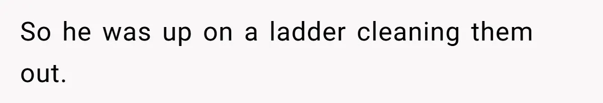 Man Refuses To Clothe Himself In His Own Yard Just Because A Neighbor Climbed A Ladder So he was up on a ladder cleaning them out.