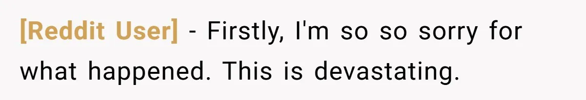 [Reddit User] − Firstly, I'm so so sorry for what happened. This is devastating.