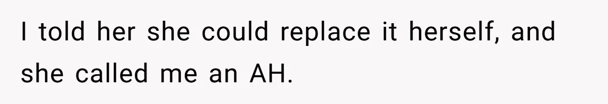 I told her she could replace it herself, and she called me an AH.