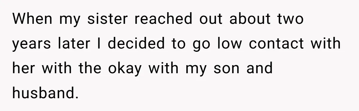 Aunt Who Raised Nephew As Her Son Faces Emotional Backlash From Niece Over Birthday Gift Decision When my sister reached out about two years later I decided to go low contact with her with the okay with my son and husband.