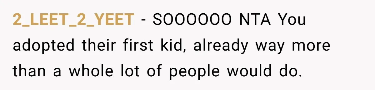Aunt Who Raised Nephew As Her Son Faces Emotional Backlash From Niece Over Birthday Gift Decision 2_LEET_2_YEET − SOOOOOO NTA You adopted their first kid, already way more than a whole lot of people would do.