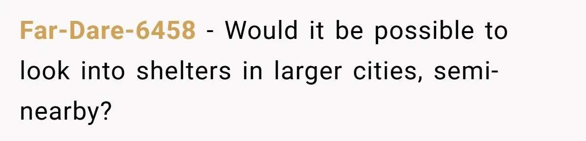 Far-Dare-6458 − Would it be possible to look into shelters in larger cities, semi-nearby?