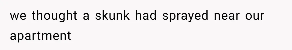 we thought a skunk had sprayed near our apartment