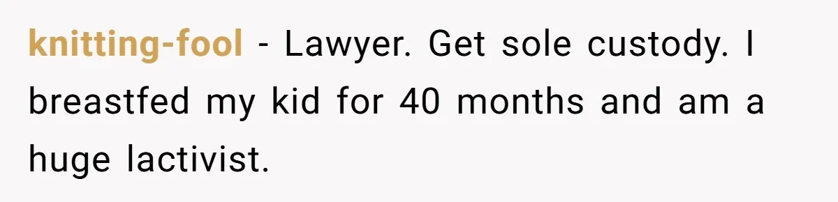 They Threw Away a Newborn’s Formula, Then Told His Mother She Was “Overreacting” knitting-fool − Lawyer. Get sole custody. I breastfed my kid for 40 months and am a huge lactivist.