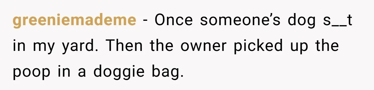 He Tried to Recycle a Bottle, Got Yelled At, and Responded in the Pettiest Way Possible greeniemademe − Once someone’s dog s__t in my yard. Then the owner picked up the poop in a doggie bag.