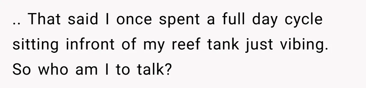 Husband Calls Wife’s Taylor Swift Obsession A ‘Cult,’ Now She Says He Doesn’t Support Her .. That said I once spent a full day cycle sitting infront of my reef tank just vibing. So who am I to talk?