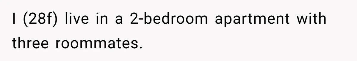 I (28f) live in a 2-bedroom apartment with three roommates.