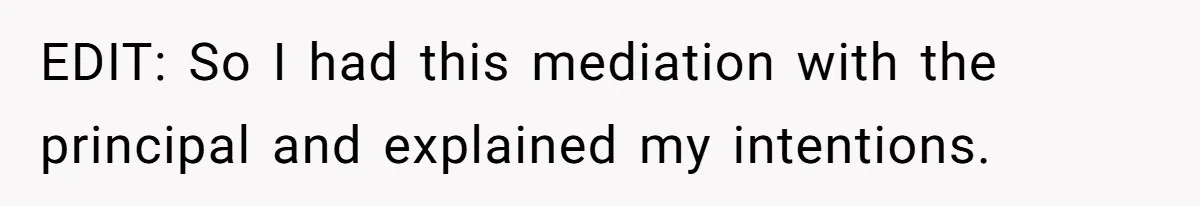EDIT: So I had this mediation with the principal and explained my intentions.