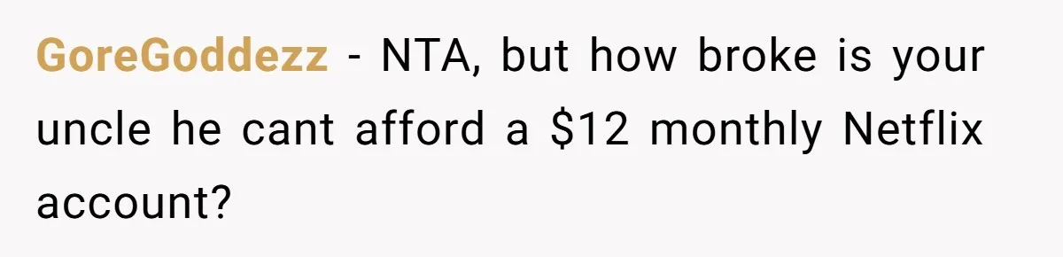 A Man Wouldn’t Let His Nephew Sleep Over Netflix, So the Nephew Finally Drew the Line GoreGoddezz − NTA, but how broke is your uncle he cant afford a $12 monthly Netflix account?