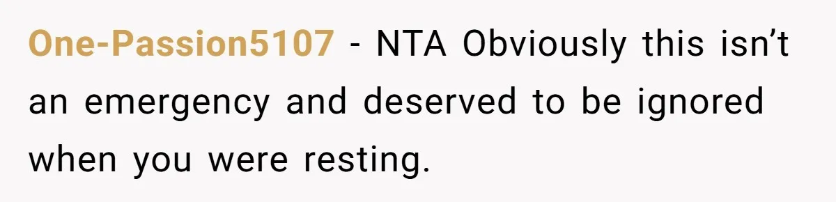 A Man Wouldn’t Let His Nephew Sleep Over Netflix, So the Nephew Finally Drew the Line One-Passion5107 − NTA Obviously this isn’t an emergency and deserved to be ignored when you were resting.
