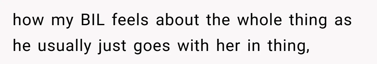 Sister Labeled "Horrible Aunt" For Debunking The Disneyland Lifetime Pass Conspiracy how my BIL feels about the whole thing as he usually just goes with her in thing,