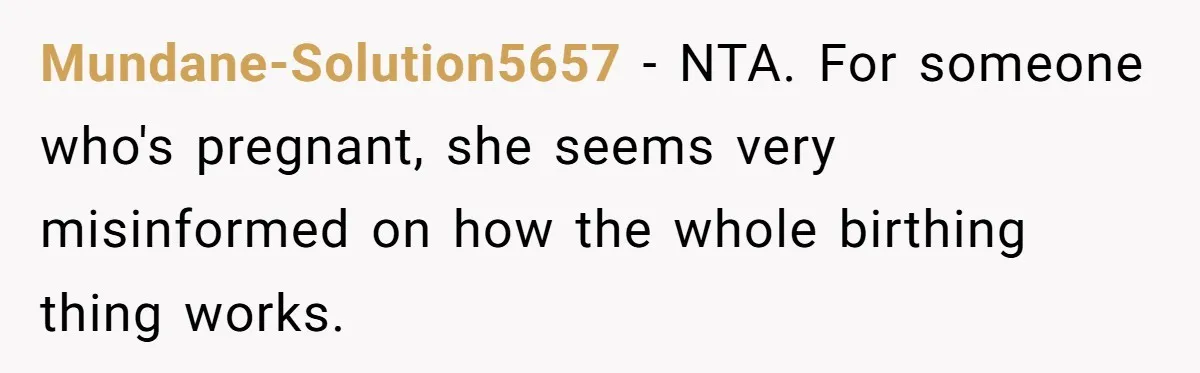 Sister Labeled "Horrible Aunt" For Debunking The Disneyland Lifetime Pass Conspiracy Mundane-Solution5657 − NTA. For someone who's pregnant, she seems very misinformed on how the whole birthing thing works.
