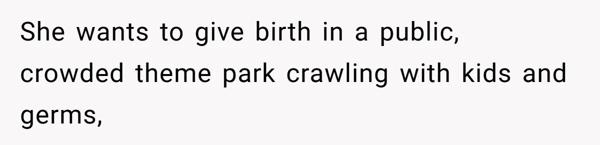 Sister Labeled "Horrible Aunt" For Debunking The Disneyland Lifetime Pass Conspiracy She wants to give birth in a public, crowded theme park crawling with kids and germs,
