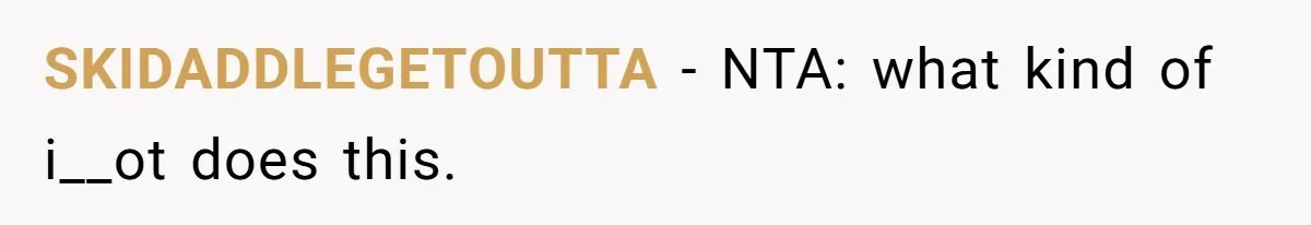 Sister Labeled "Horrible Aunt" For Debunking The Disneyland Lifetime Pass Conspiracy SKIDADDLEGETOUTTA − NTA: what kind of i__ot does this.