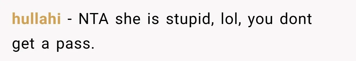 Sister Labeled "Horrible Aunt" For Debunking The Disneyland Lifetime Pass Conspiracy hullahi − NTA she is stupid, lol, you dont get a pass.