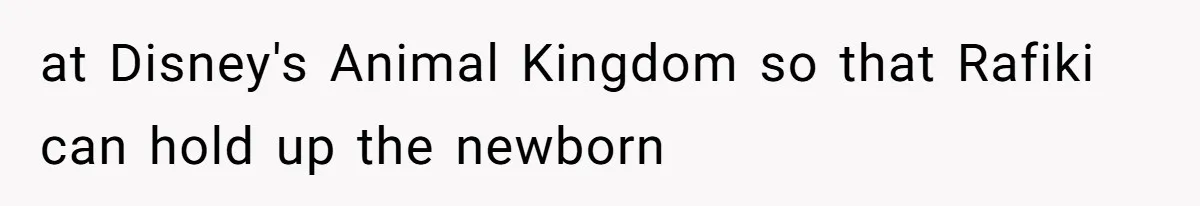 Sister Labeled "Horrible Aunt" For Debunking The Disneyland Lifetime Pass Conspiracy at Disney's Animal Kingdom so that Rafiki can hold up the newborn