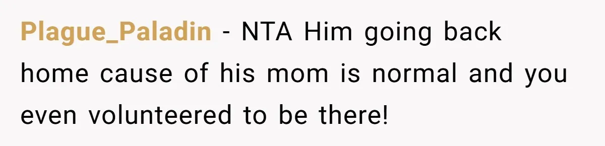 Ex Wants To Get Back Together After His Mom’s Death, She’s Not Having It Plague_Paladin − NTA Him going back home cause of his mom is normal and you even volunteered to be there!