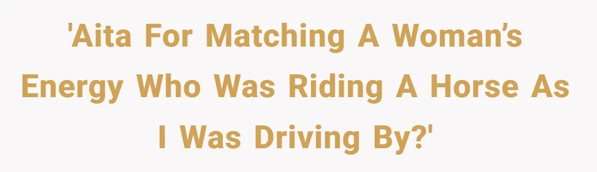 Woman Tried To Be Considerate Of A Horse Rider, But After Getting Yelled At, She Responds Sharply 'AITA for matching a woman’s energy who was riding a horse as I was driving by?'