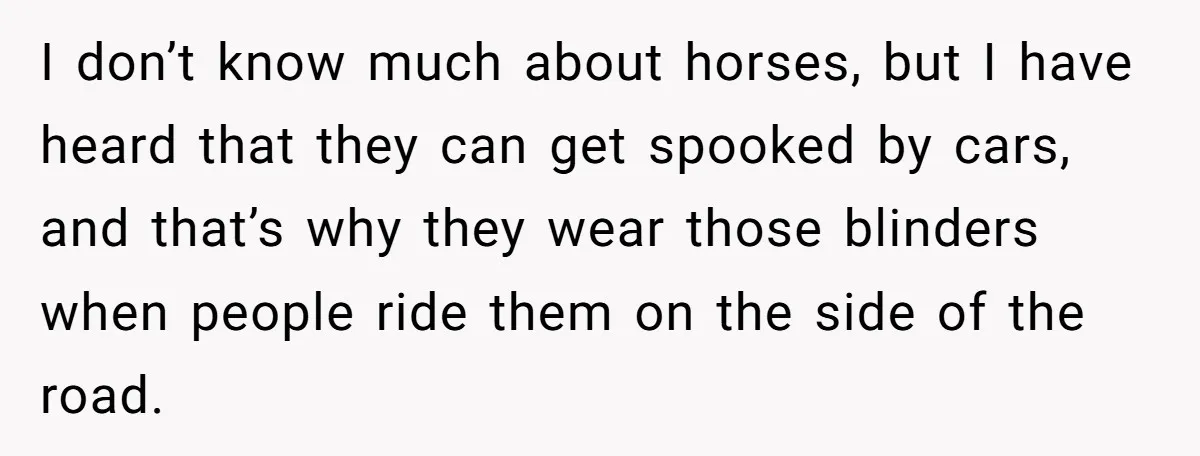 Woman Tried To Be Considerate Of A Horse Rider, But After Getting Yelled At, She Responds Sharply I don’t know much about horses, but I have heard that they can get spooked by cars, and that’s why they wear those blinders when people ride them on the...
