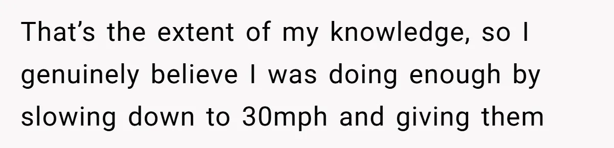 Woman Tried To Be Considerate Of A Horse Rider, But After Getting Yelled At, She Responds Sharply That’s the extent of my knowledge, so I genuinely believe I was doing enough by slowing down to 30mph and giving them