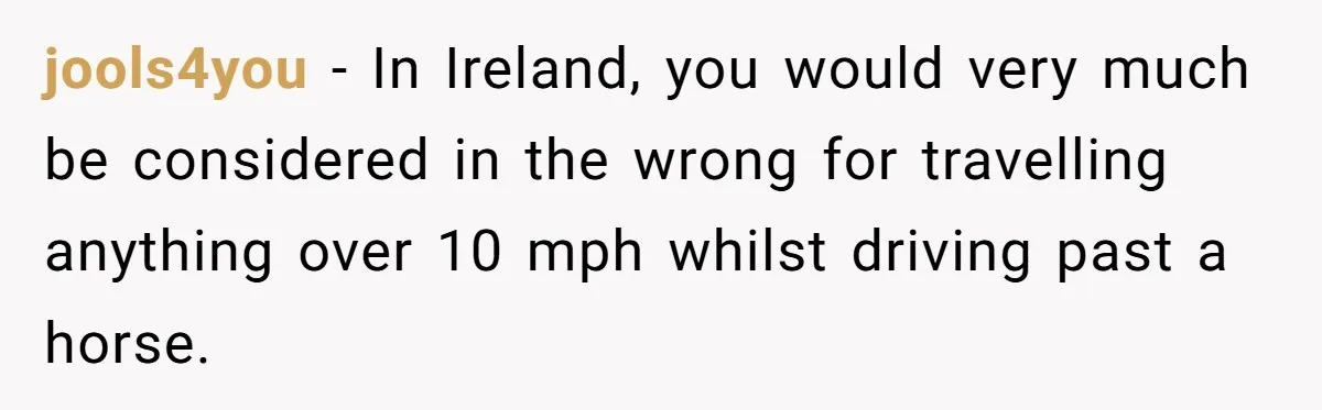 Woman Tried To Be Considerate Of A Horse Rider, But After Getting Yelled At, She Responds Sharply jools4you − In Ireland, you would very much be considered in the wrong for travelling anything over 10 mph whilst driving past a horse.
