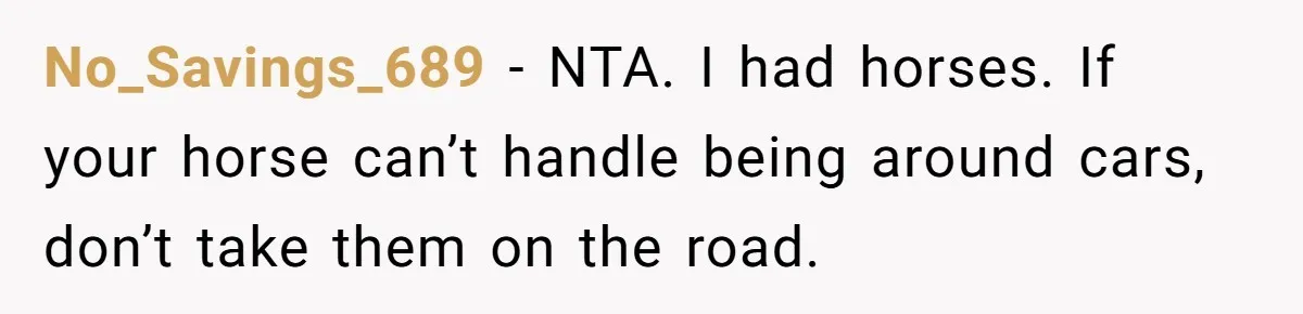 Woman Tried To Be Considerate Of A Horse Rider, But After Getting Yelled At, She Responds Sharply No_Savings_689 − NTA. I had horses. If your horse can’t handle being around cars, don’t take them on the road.
