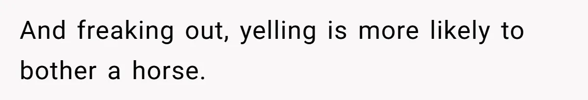 Woman Tried To Be Considerate Of A Horse Rider, But After Getting Yelled At, She Responds Sharply And freaking out, yelling is more likely to bother a horse.