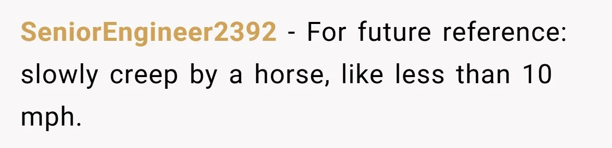 Woman Tried To Be Considerate Of A Horse Rider, But After Getting Yelled At, She Responds Sharply SeniorEngineer2392 − For future reference: slowly creep by a horse, like less than 10 mph.