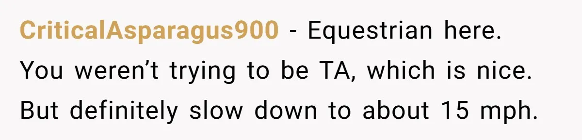 Woman Tried To Be Considerate Of A Horse Rider, But After Getting Yelled At, She Responds Sharply CriticalAsparagus900 − Equestrian here. You weren’t trying to be TA, which is nice. But definitely slow down to about 15 mph.