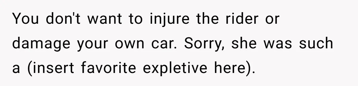 Woman Tried To Be Considerate Of A Horse Rider, But After Getting Yelled At, She Responds Sharply You don't want to injure the rider or damage your own car. Sorry, she was such a (insert favorite expletive here).
