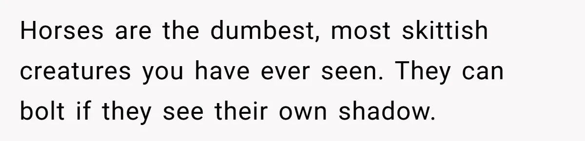 Woman Tried To Be Considerate Of A Horse Rider, But After Getting Yelled At, She Responds Sharply Horses are the dumbest, most skittish creatures you have ever seen. They can bolt if they see their own shadow.