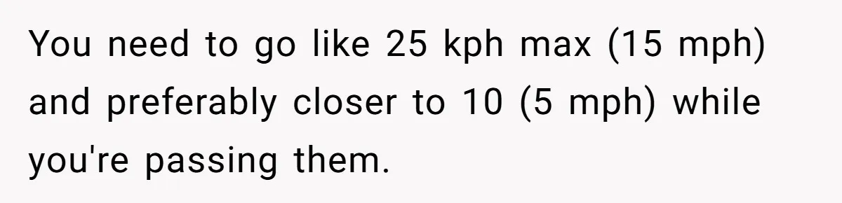 Woman Tried To Be Considerate Of A Horse Rider, But After Getting Yelled At, She Responds Sharply You need to go like 25 kph max (15 mph) and preferably closer to 10 (5 mph) while you're passing them.