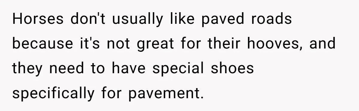 Woman Tried To Be Considerate Of A Horse Rider, But After Getting Yelled At, She Responds Sharply Horses don't usually like paved roads because it's not great for their hooves, and they need to have special shoes specifically for pavement.