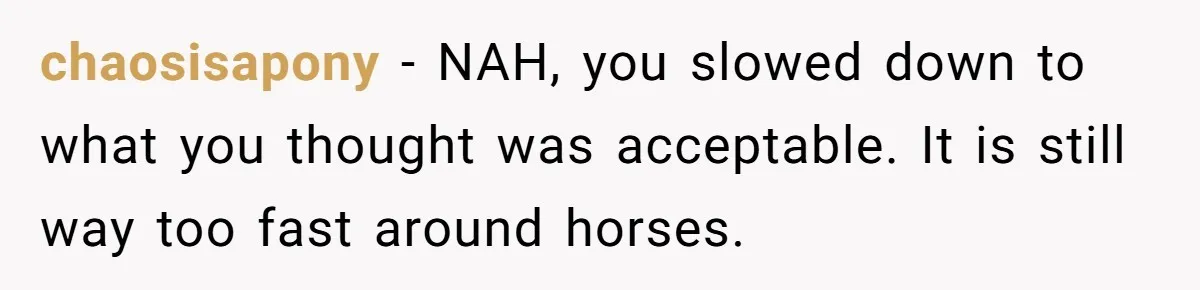 Woman Tried To Be Considerate Of A Horse Rider, But After Getting Yelled At, She Responds Sharply chaosisapony − NAH, you slowed down to what you thought was acceptable. It is still way too fast around horses.