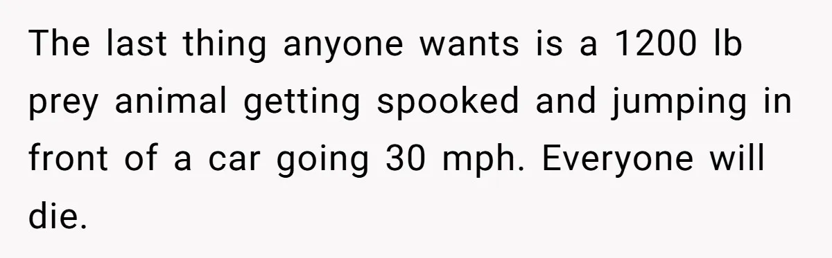 Woman Tried To Be Considerate Of A Horse Rider, But After Getting Yelled At, She Responds Sharply The last thing anyone wants is a 1200 lb prey animal getting spooked and jumping in front of a car going 30 mph. Everyone will die.