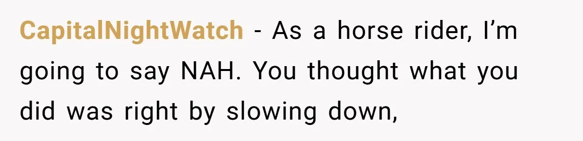 Woman Tried To Be Considerate Of A Horse Rider, But After Getting Yelled At, She Responds Sharply CapitalNightWatch − As a horse rider, I’m going to say NAH. You thought what you did was right by slowing down,