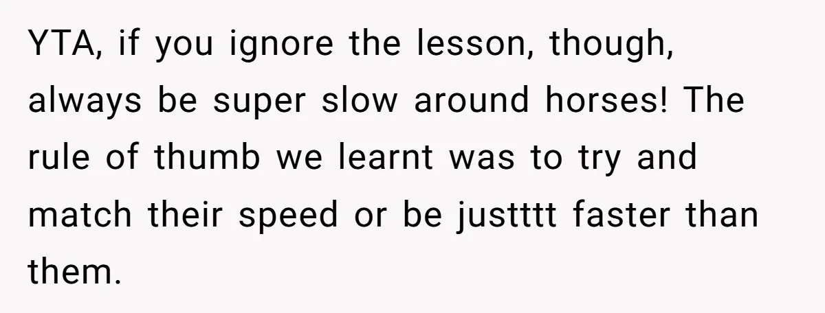 Woman Tried To Be Considerate Of A Horse Rider, But After Getting Yelled At, She Responds Sharply YTA, if you ignore the lesson, though, always be super slow around horses! The rule of thumb we learnt was to try and match their speed or be justttt faster...