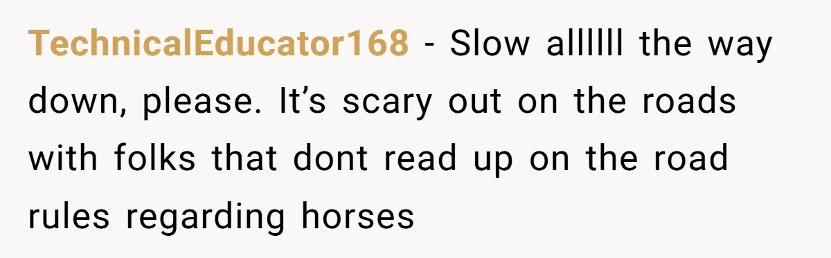 Woman Tried To Be Considerate Of A Horse Rider, But After Getting Yelled At, She Responds Sharply TechnicalEducator168 − Slow allllll the way down, please. It’s scary out on the roads with folks that dont read up on the road rules regarding horses