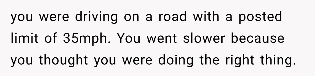 Woman Tried To Be Considerate Of A Horse Rider, But After Getting Yelled At, She Responds Sharply you were driving on a road with a posted limit of 35mph. You went slower because you thought you were doing the right thing.