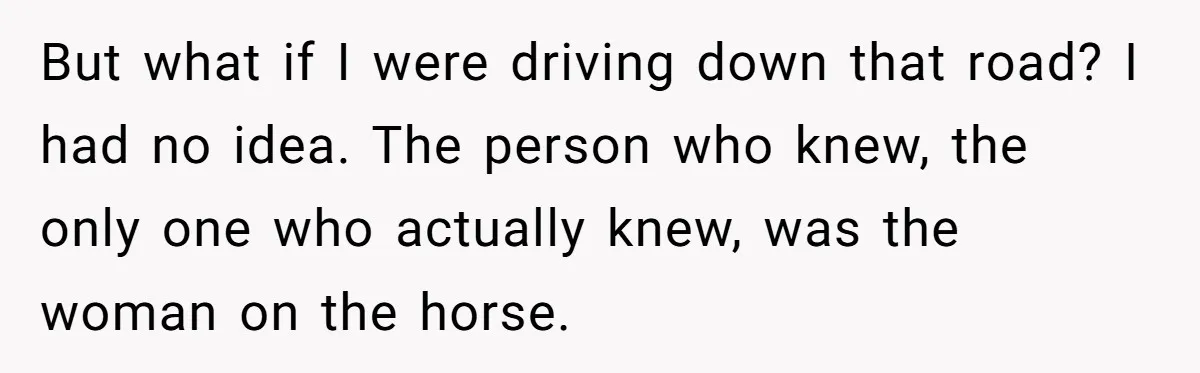Woman Tried To Be Considerate Of A Horse Rider, But After Getting Yelled At, She Responds Sharply But what if I were driving down that road? I had no idea. The person who knew, the only one who actually knew, was the woman on the horse.