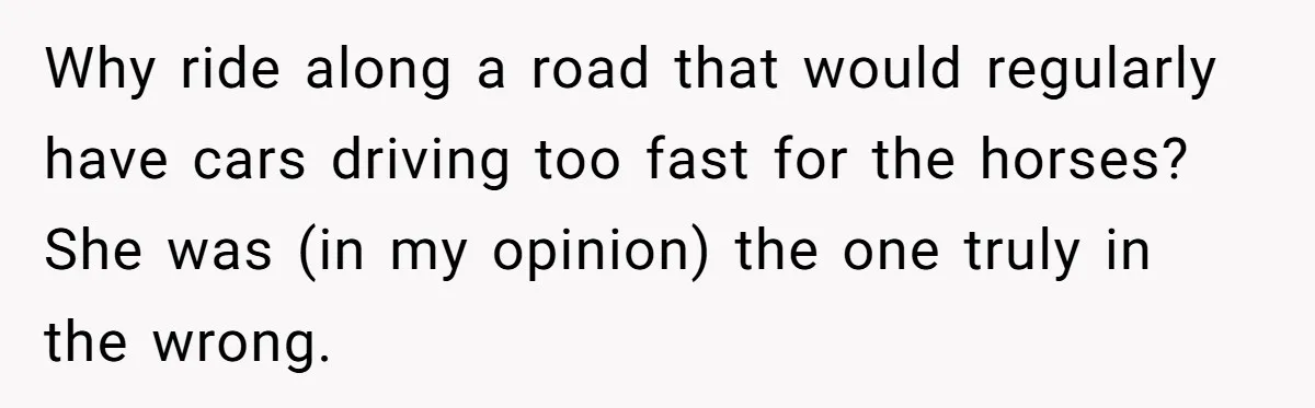 Woman Tried To Be Considerate Of A Horse Rider, But After Getting Yelled At, She Responds Sharply Why ride along a road that would regularly have cars driving too fast for the horses? She was (in my opinion) the one truly in the wrong.