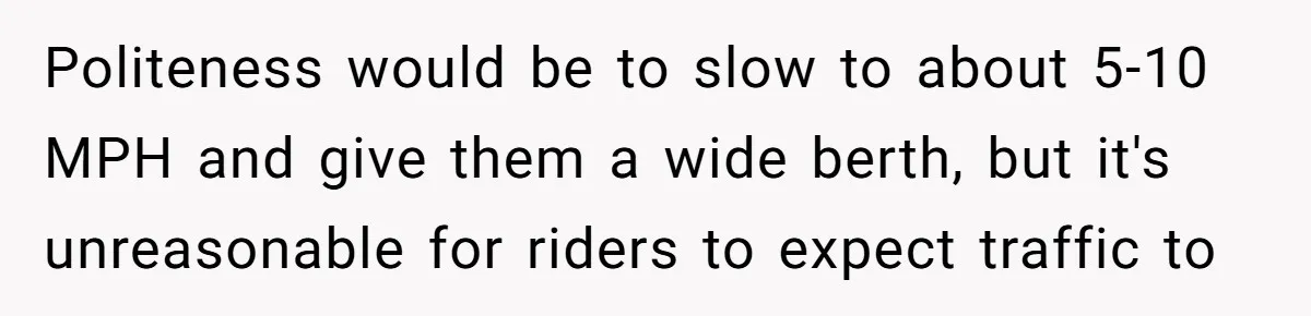 Woman Tried To Be Considerate Of A Horse Rider, But After Getting Yelled At, She Responds Sharply Politeness would be to slow to about 5-10 MPH and give them a wide berth, but it's unreasonable for riders to expect traffic to