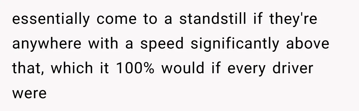Woman Tried To Be Considerate Of A Horse Rider, But After Getting Yelled At, She Responds Sharply essentially come to a standstill if they're anywhere with a speed significantly above that, which it 100% would if every driver were
