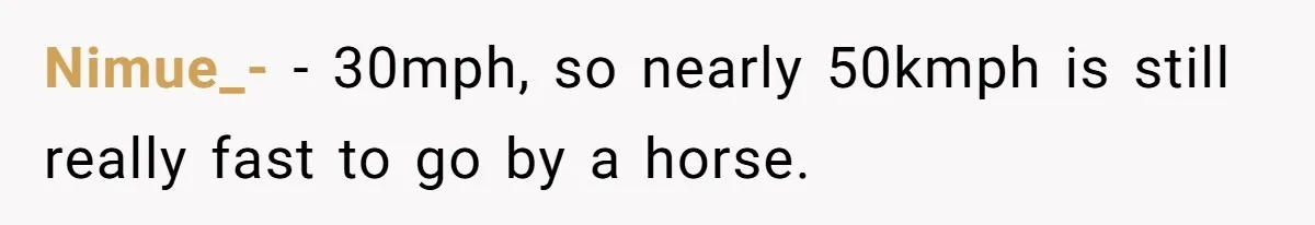 Woman Tried To Be Considerate Of A Horse Rider, But After Getting Yelled At, She Responds Sharply Nimue_- − 30mph, so nearly 50kmph is still really fast to go by a horse.