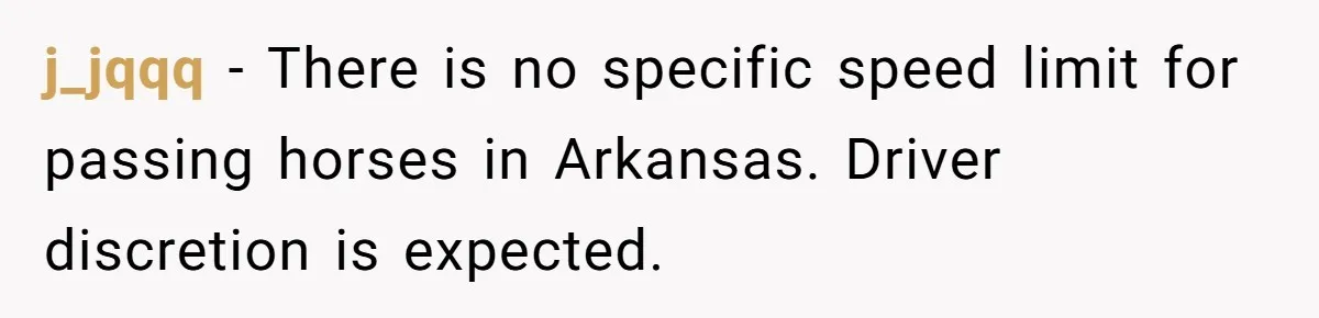 Woman Tried To Be Considerate Of A Horse Rider, But After Getting Yelled At, She Responds Sharply j_jqqq − There is no specific speed limit for passing horses in Arkansas. Driver discretion is expected.