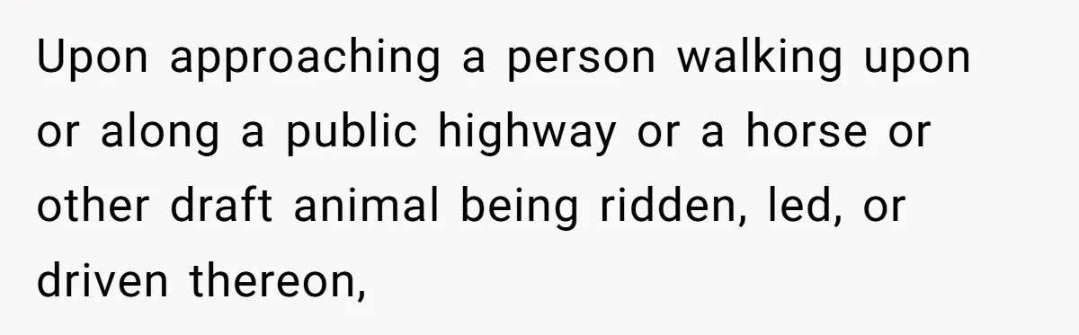 Woman Tried To Be Considerate Of A Horse Rider, But After Getting Yelled At, She Responds Sharply Upon approaching a person walking upon or along a public highway or a horse or other draft animal being ridden, led, or driven thereon,