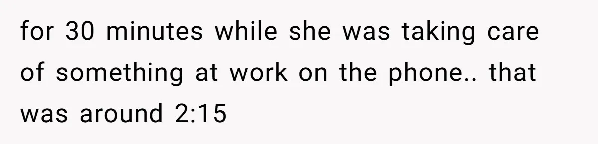 She Was Asked to Watch Her Niece for 30 Minutes, Then the Mom Disappeared for Hours for 30 minutes while she was taking care of something at work on the phone.. that was around 2:15